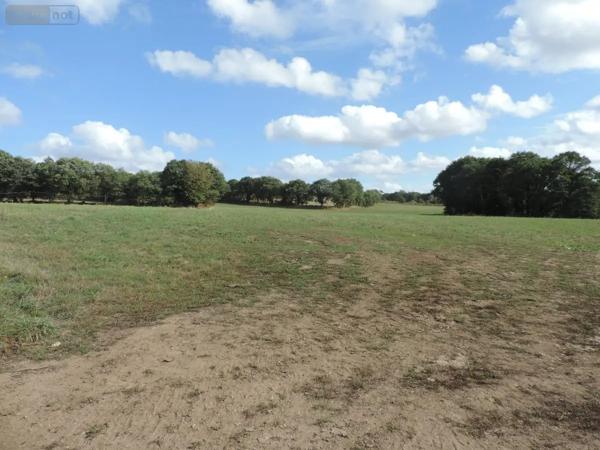 Achat - Terrain de loisirs, bois, étangs Maël-Pestivien 22160 501159 m 2
