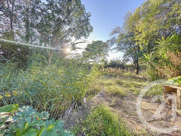 Maison à vendre  10 pièces - 273,95 m2 BAILLARGUES - 34