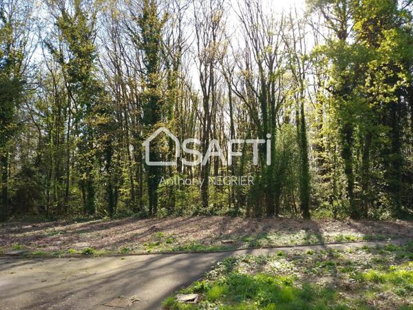 Magnifique maison avec gros potentiel