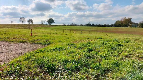 Terrain 1989m² Fleurance (32500) 843m² constructible