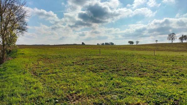Terrain 1989m² Fleurance (32500) 843m² constructible