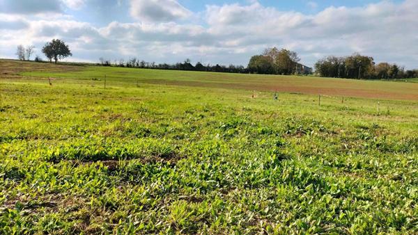 Terrain 1989m² Fleurance (32500) 843m² constructible