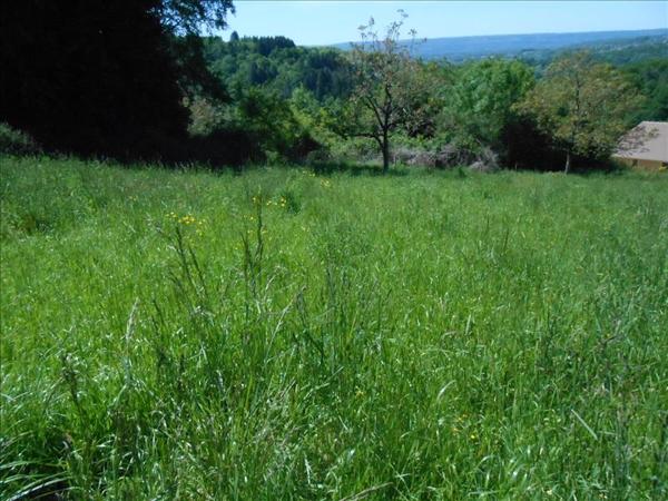 Terrain à vendre |  Altillac |  1495 m²