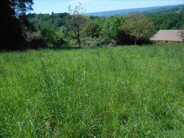 Terrain à vendre |  Altillac |  1495 m²