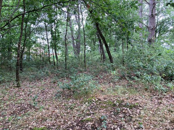 Achat terrain près de Montans - 1478 m² - 99 000 €