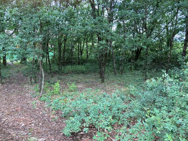 Achat terrain près de Montans - 1478 m² - 99 000 €