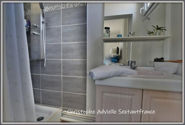 Maison de ville hyper centre, 4 chambres, 2 salles d'eau,  garage, jardin intimiste