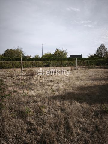 Terrain
        
        - 250 m² Exclusivité 31 000 €*