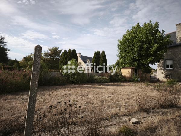Terrain
        
        - 250 m² Exclusivité 31 000 €*