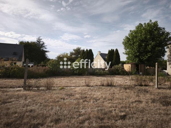Terrain
        
        - 250 m² Exclusivité 31 000 €*