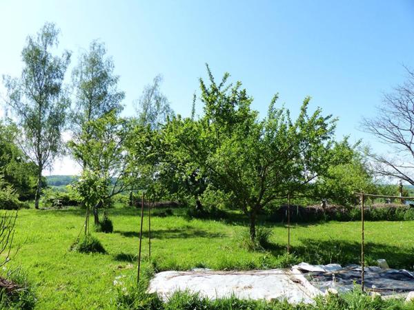 Maison  3 pièce(s) 148 m2 avec atelier  Viager Occupé