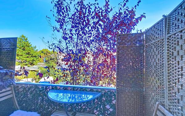 Appartement à louer    3 pièces •  Rueil-Malmaison