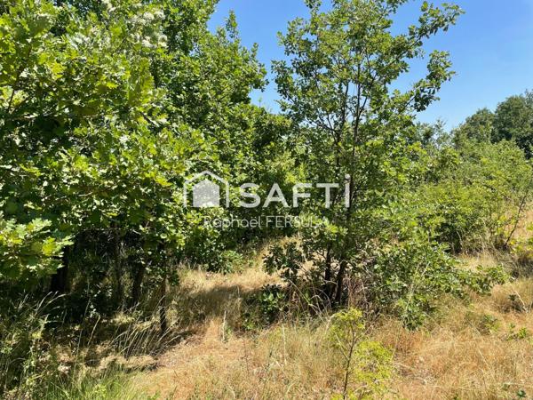 Grand terrain avec CU position dominante