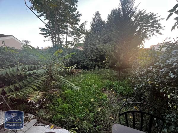 Appartement à louer 1 pièce 15.55m²