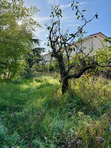 Terrain Chassieu 897m2