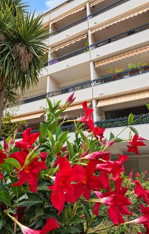VILLENEUVE-LOUBET – 4 pièces, 3 terrasses, LA MER À PIED, au cœur d’un magnifique parc arboré

LES ATOUTS
Vous rêvez de la mer à pied, de verdure, de trois chambres et de plusieurs terrasses ?
Autant de critères recherchés qu’il est souvent difficile de réunir. Il faut généralement faire des compromis…

Pas ici !

Au premier étage, à hauteur de feuillage, ce 4 pièces traversant Est-Ouest de 86 m² offre un cadre rare. Vous profitez de la nature depuis chaque pièce, tout en rejoignant la mer et les commodités en seulement 5 minutes à pied.
•	Appartement traversant Est-Ouest
•	Surface de 86 m²
•	Trois chambres
•	Mer et commodités accessibles à pied en 5 minutes
•	Environnement verdoyant
•	Accès à une terrasse depuis chaque pièce

LES EXTÉRIEURS
Et parce qu’une seule terrasse aurait été trop classique, cet appartement en compte trois :
•	Le séjour et la cuisine ouverte donnent sur une terrasse de 10 m² exposée Est, idéale pour les petits-déjeuners au soleil et les soirées d’été agréablement tempérées
•	Deux chambres partagent une terrasse de 10 m²
•	La troisième chambre dispose de sa terrasse privative de 5 m²
Au total, 25 m² de terrasses pour vivre aussi bien dehors que dedans.

L’ APPARTEMENT
        À l’intérieur, vous bénéficiez également de :
•	Une cuisine ouverte avec comptoir haut pour plus de convivialité
•	Une salle d’eau
•	Des WC suspendus, indépendants
•	Un dressing
•	De nombreux rangements
Et
•	Une cave de 5 m²

Plusieurs améliorations de confort ont été apportées récemment :
•	Peintures refaites
•	Installation de menuiseries à double vitrage haute performance
•	Pose d’une climatisation réversible

Résultat : vous pouvez poser vos valises sans transformer vos prochains week-ends en chantier.

LA RÉSIDENCE
Sécurisée et gardiennée, la résidence s’étend au cœur d’un parc arboré de plus de 3,5 hectares.
        Sur place :
•	Tennis
•	Boulodrome
•	Aire de jeux pour enfants
•	Locaux à vélos

LE STATIONNEMENT
Les places sont collectives et exclusivement réservées aux résidents. Suffisamment nombreuses, elles permettent de se garer facilement à toute heure.
Des emplacements sont également prévus pour les visiteurs.

EN RÉSUMÉ
La mer à pied, 25 m² de terrasses, trois chambres et un environnement verdoyant, avec un accès immédiat aux principaux axes de circulation.
Un appartement rare, idéal pour une famille, une résidence secondaire ou un investissement, réunissant confort, nature et proximité du littoral.

Premières visites à partir du JEUDI 1er OCTOBRE. Vous pouvez dès à présent me contacter pour réserver votre créneau de visite.
Christine AOUSTIN – BSK Immobilier
06 11 46 60 64 – Disponible 7 j/7
---