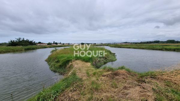 Terrain de loisirs à vendre : votre coin de paradis à Saint Hilaire de Riez !
