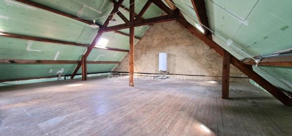 A vendre Bretagne-Finistere-Douarnenez-centre ville-Maison- 18 pièces-Terrasse-Jardin-local commercial