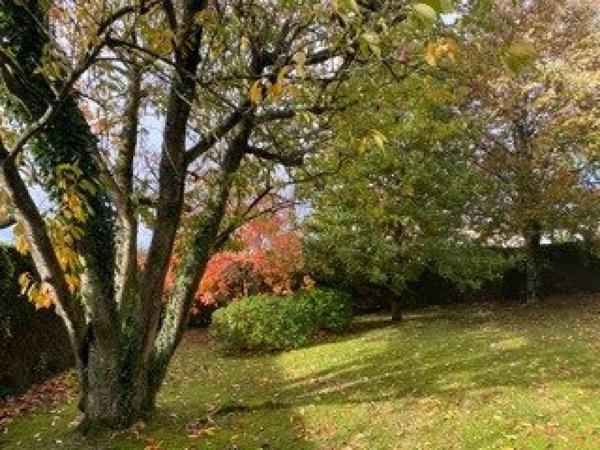 Pavillon 132 m², 4 ch, plain pied, terrain 1005 m², Domfront