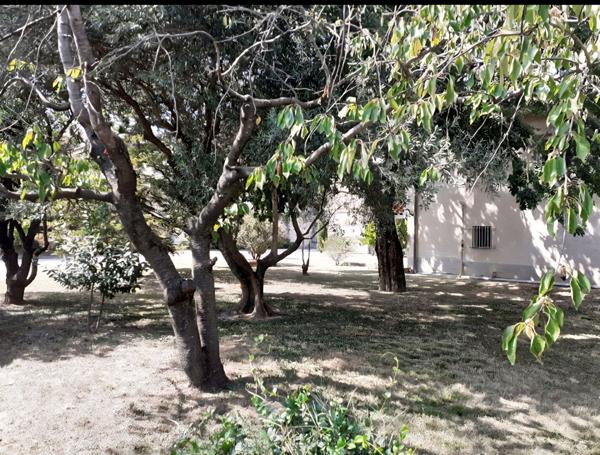 EXCLUSIVITE AVIGNON - SORGUES - MAISON PRÊTE A VIVRE DE 92 SURF HAB SUR 760 M² DE TERRAIN + GARAGE DE 90 M²