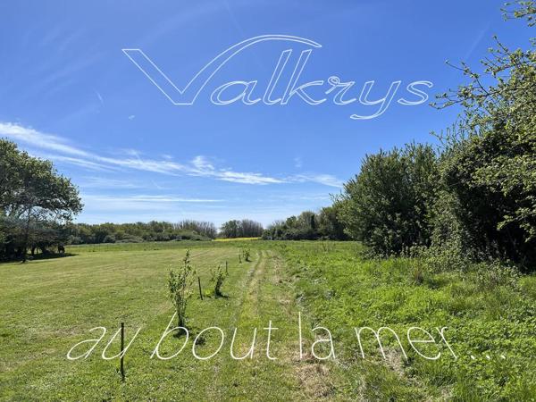 Ensemble immobilier longères à rénover - Brigneau 29350