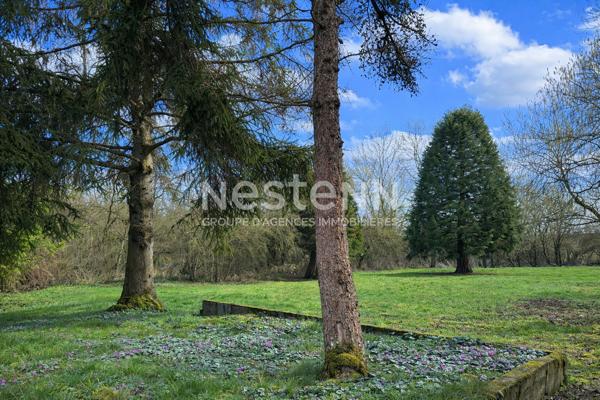 BELLE PROPRIETE - 4 CHAMBRES - 273 m² - 81 ARES - HARVILLE