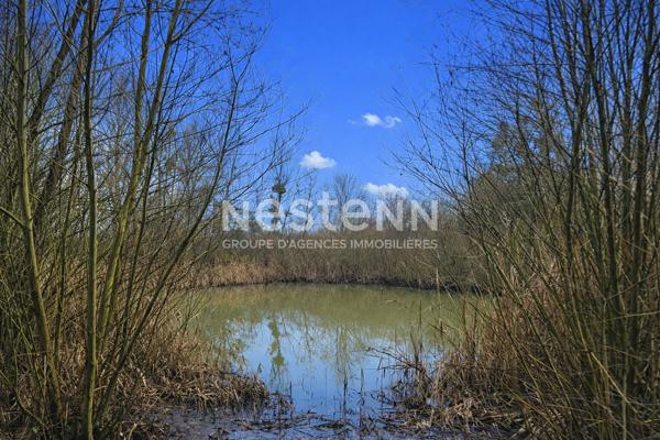 BELLE PROPRIETE - 4 CHAMBRES - 273 m² - 81 ARES - HARVILLE