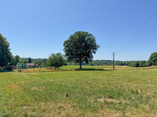 Terrain à vendre à Champsac (87230) - Haute-Vienne