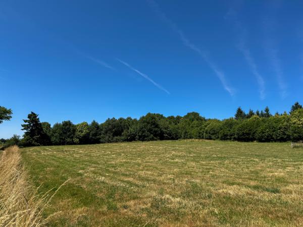 Terrain à vendre à Champsac (87230) - Haute-Vienne