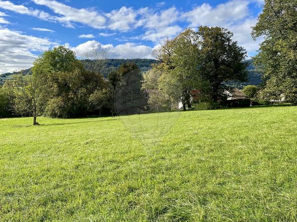 Maison  en vente - Ain - 01