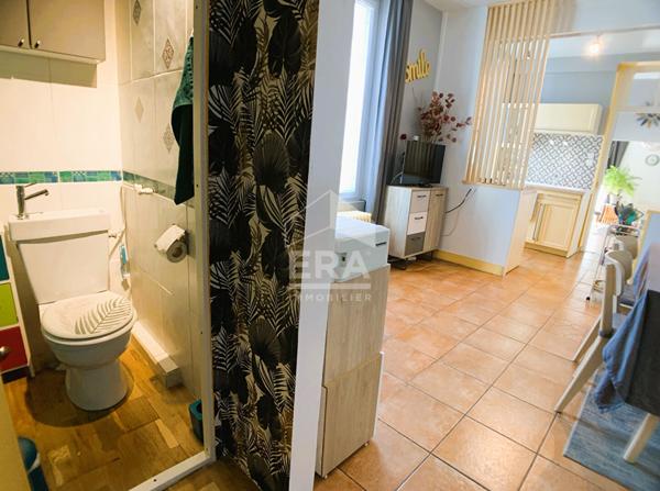 Maison à louer e T3 - Blois - 1 à 2 chbs, Vue sur la Loire, jardin/terrasse