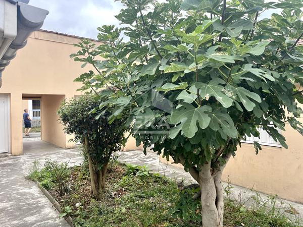 PAU : Appartement T1 bis de 18m²