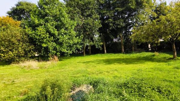 Terrain Constructible Mespaul 08 a 41 ca