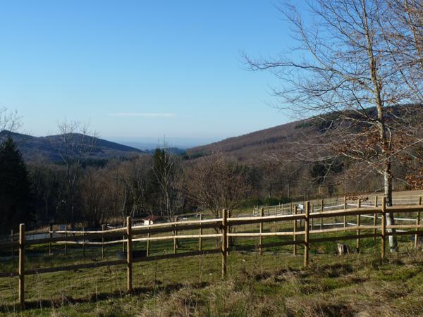 Immeuble 12 pièces - 350 m²