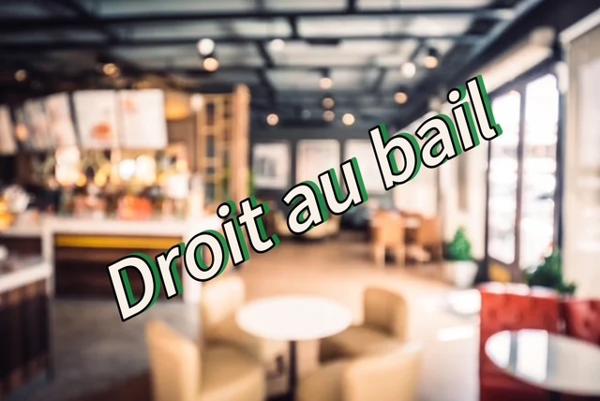 Local Commercial 3 pièces - 77 m²