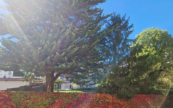 Appartement à vendre    1 pièce • 34,92 m2 Biarritz