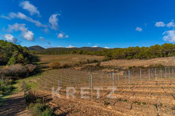 Domaine viticole en pleine nature