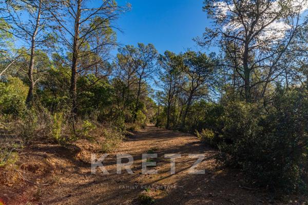 Domaine viticole en pleine nature