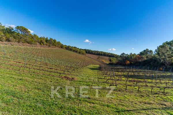 Domaine viticole en pleine nature