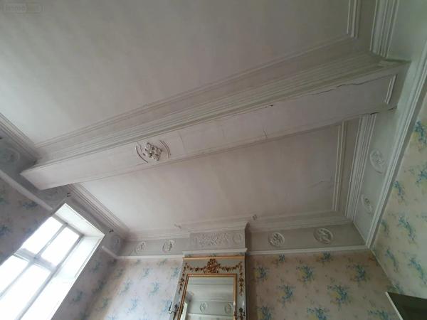 Achat - Propriété La Ferté-Bernard 72400 14 pièces 358 m 2 1994 m 2