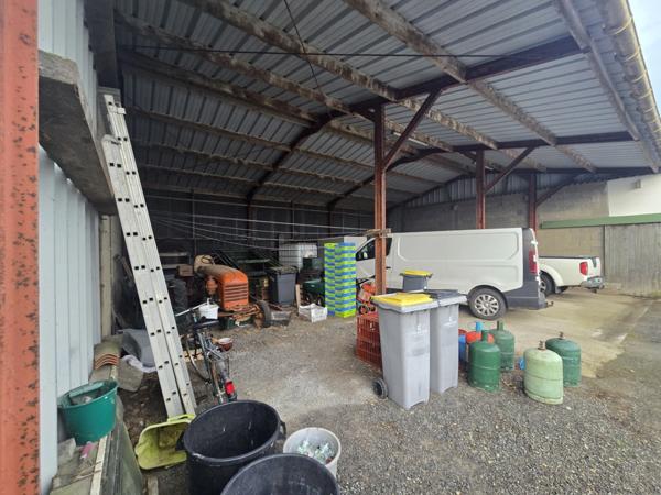 Propriété à vendre 12 pièces BEAUVOIR SUR MER (85)