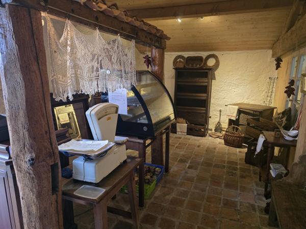 Propriété à vendre 12 pièces BEAUVOIR SUR MER (85)