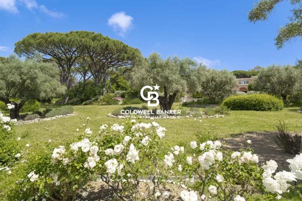 Vente villa 9 pièces 83990 - St Tropez