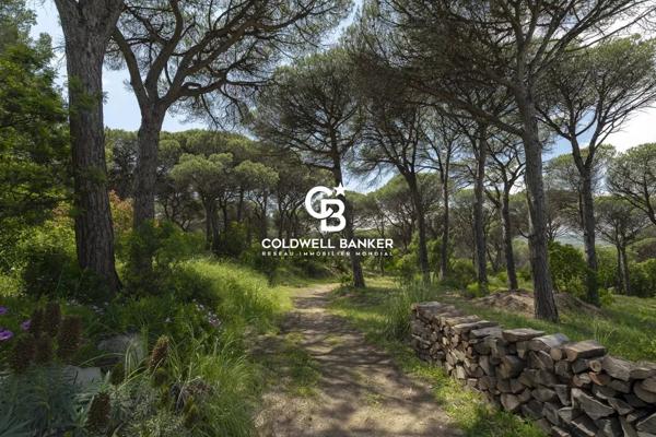 Vente villa 9 pièces 83990 - St Tropez