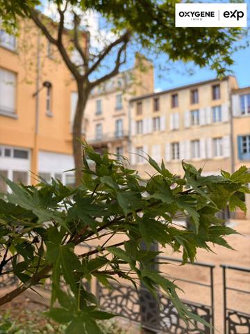 Appartement T3 avec terrasse et grand grenier. Carcassonne.