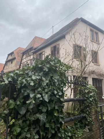 ENSEMBLE IMMOBILIER WISSEMBOURG