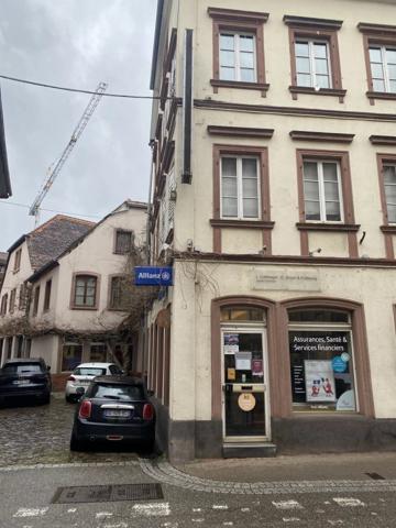 ENSEMBLE IMMOBILIER WISSEMBOURG
