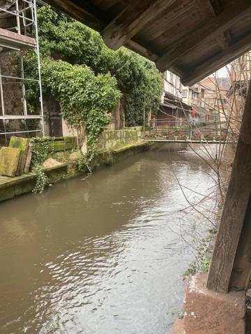 ENSEMBLE IMMOBILIER WISSEMBOURG