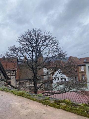 ENSEMBLE IMMOBILIER WISSEMBOURG