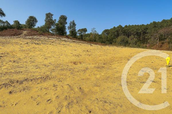 Terrain à vendre  627 m2 LABENNE - 40